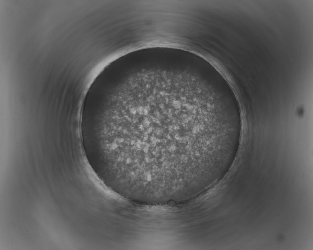 X0000115531246200911271339