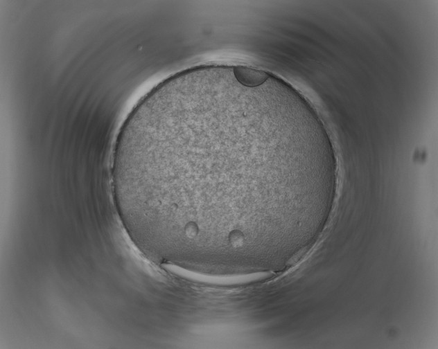 X0000115531248200911271339