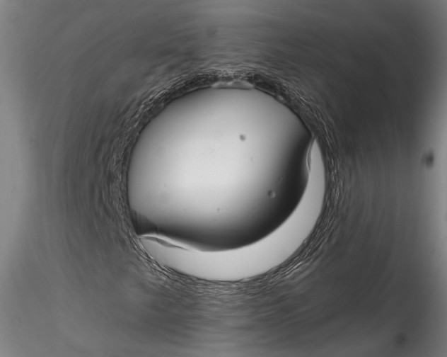 X0000115531249200911271338