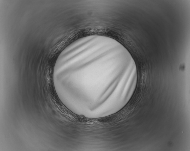 X0000115531250200911271338