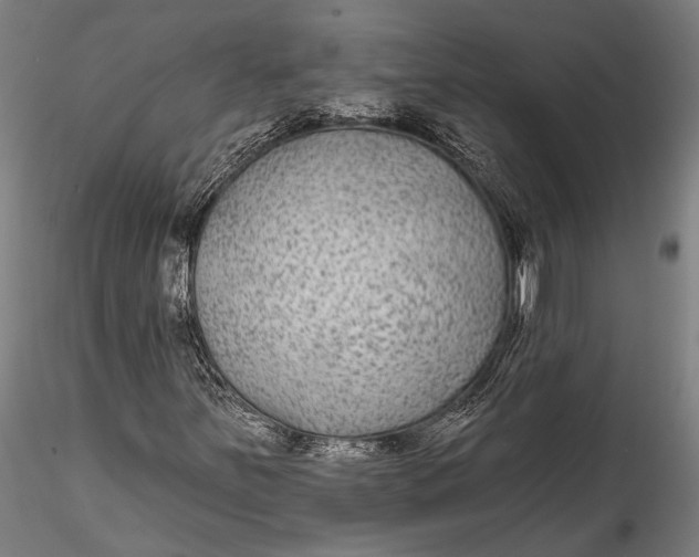 X0000115531251200911271338