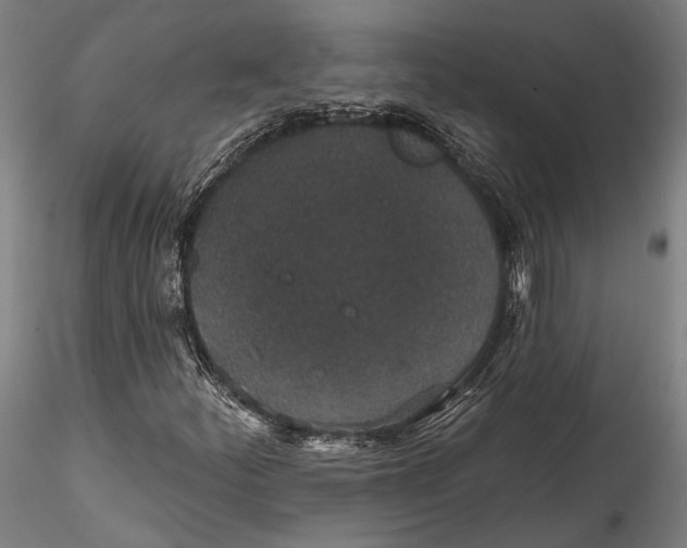 X0000115531252200911271338