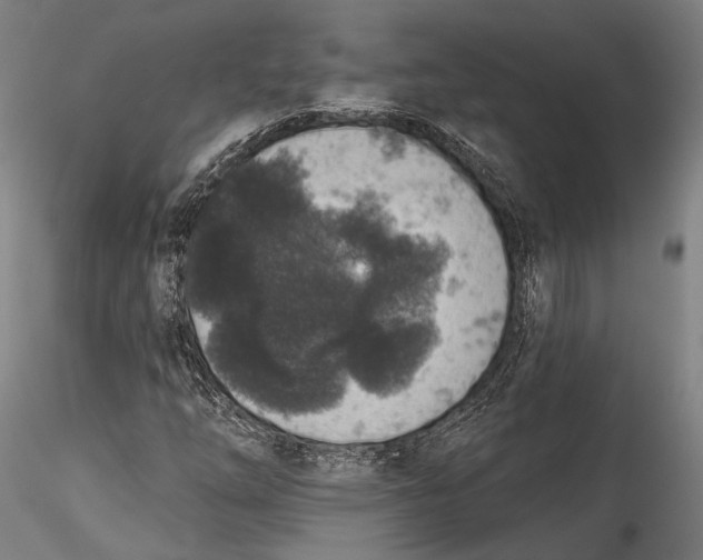 X0000115531254200911271338