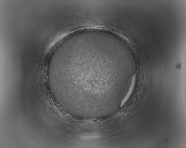 X0000115531255200911271338