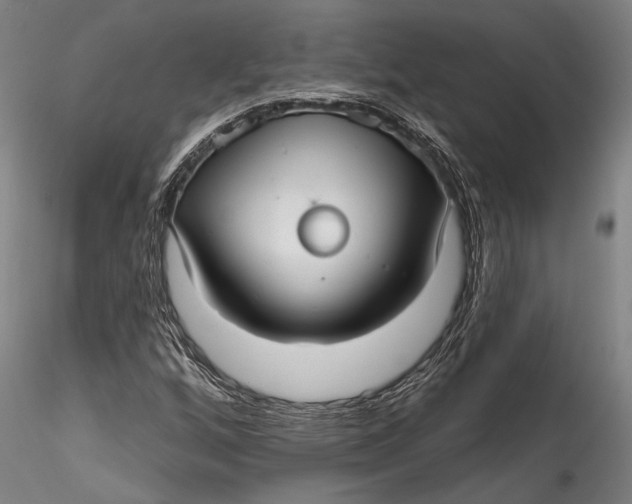 X0000115531256200911271338