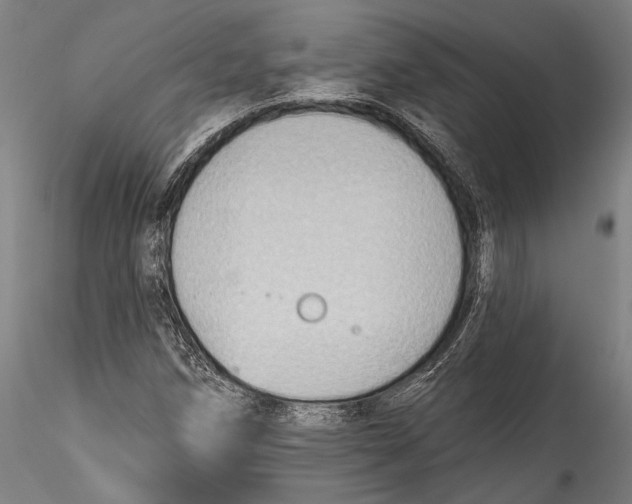 X0000115531258200911271338