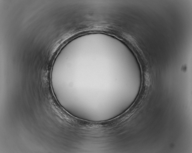 X0000115531260200911271338