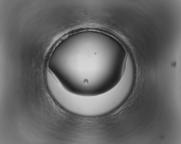 X0000115531264200911271338