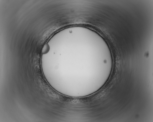 X0000115531265200911271338