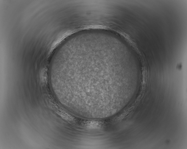 X0000115531266200911271338