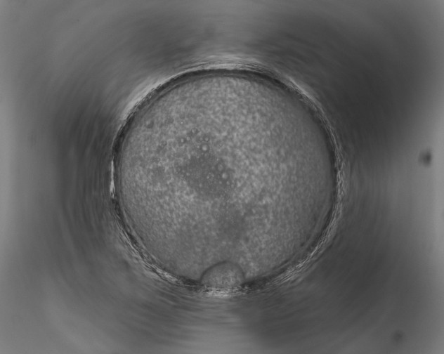 X0000115531267200911271338