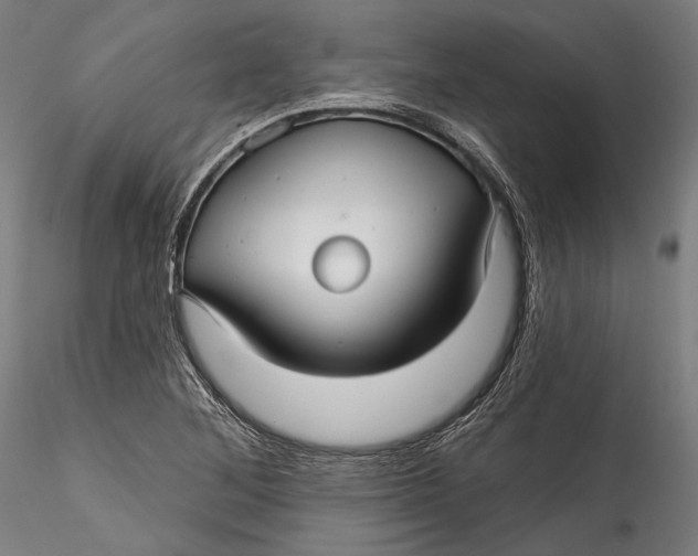 X0000115531268200911271338