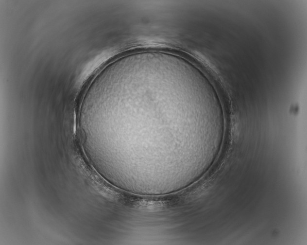 X0000115531269200911271337