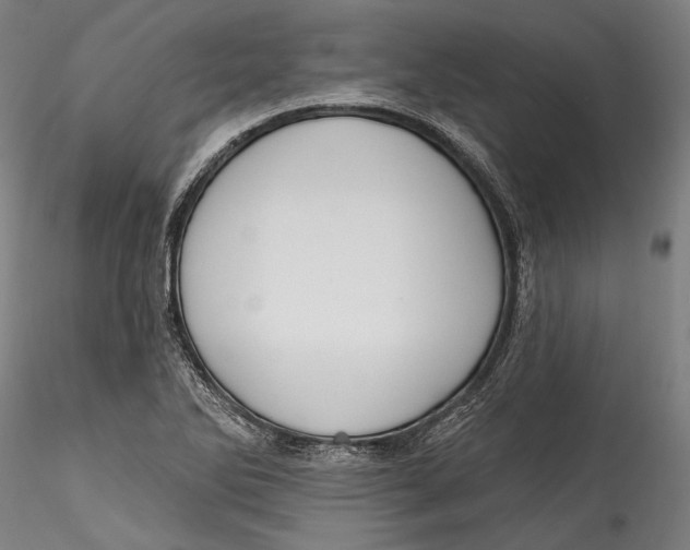 X0000115531270200911271337