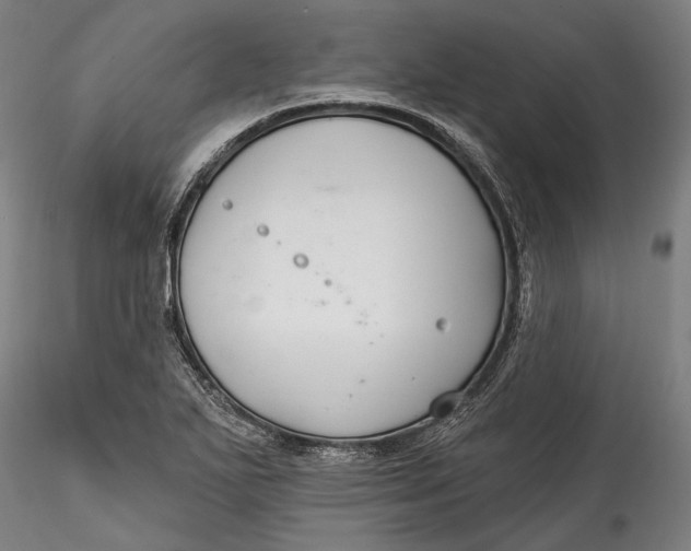 X0000115531271200911271337