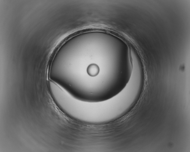 X0000115531272200911271337