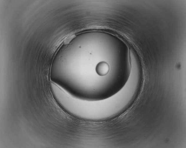 X0000115531273200911271337