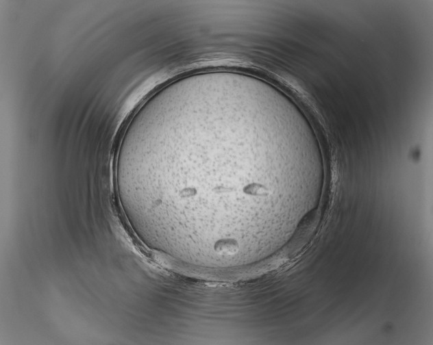 X0000115531274200911271337