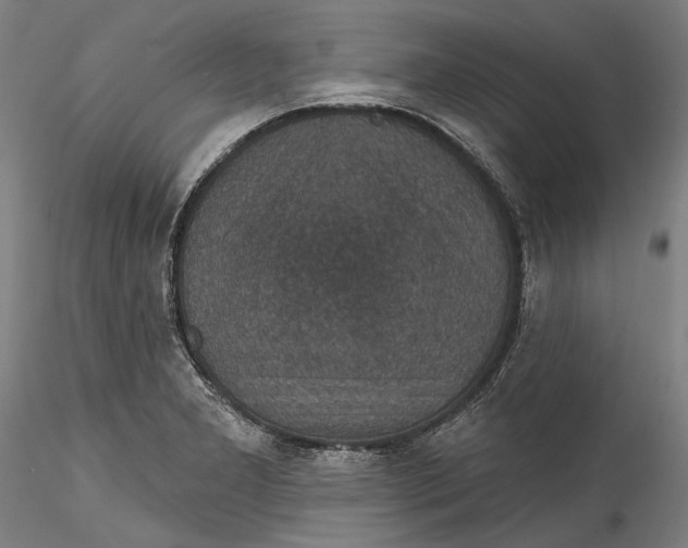 X0000115531277200911271337