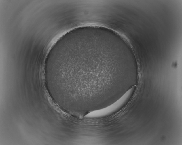 X0000115531279200911271337