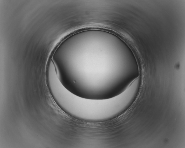 X0000115531280200911271337