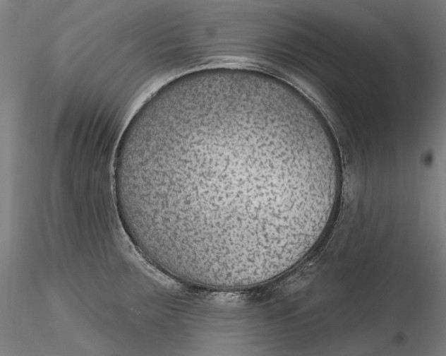 X0000115531283200911271337