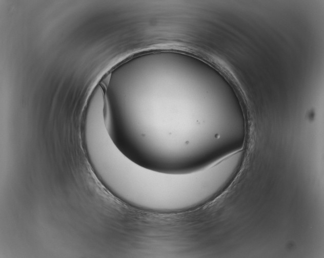 X0000115531284200911271337