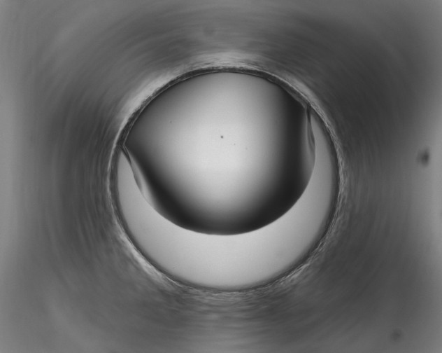 X0000115531285200911271337