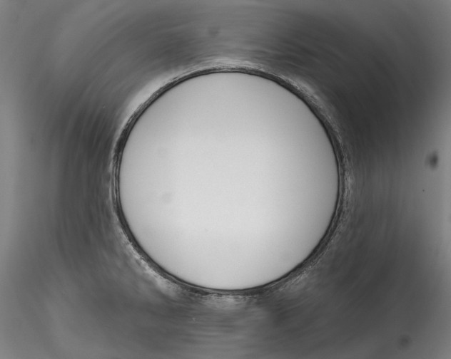 X0000115531286200911271337