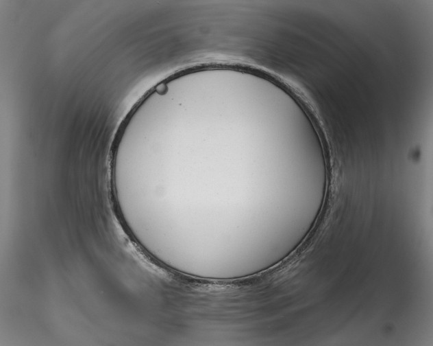 X0000115531287200911271337