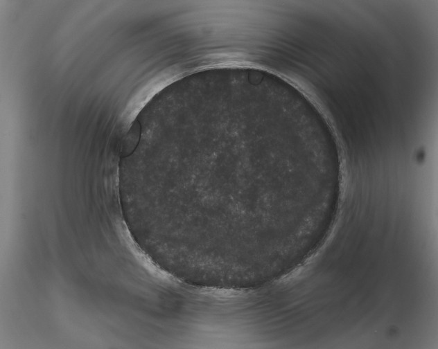 X0000115531289200911271337