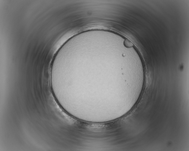 X0000115531290200911271337