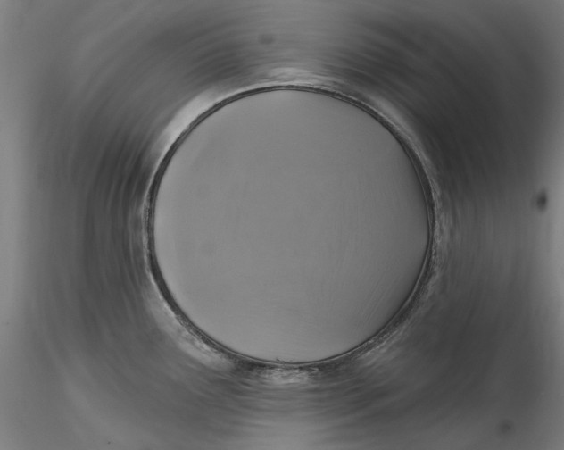 X0000115531291200911271337