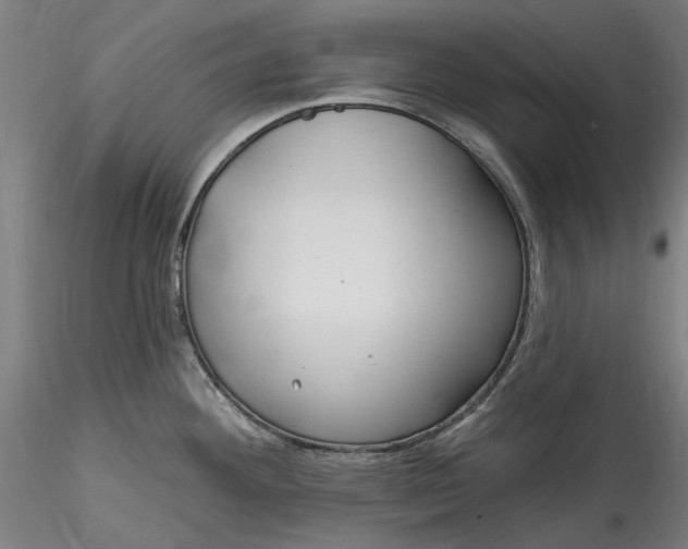 X0000115531292200911271337