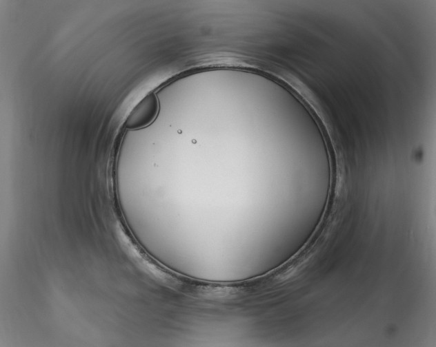 X0000115531293200911271337