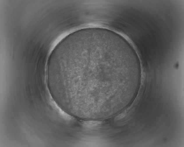 X0000115531294200911271337