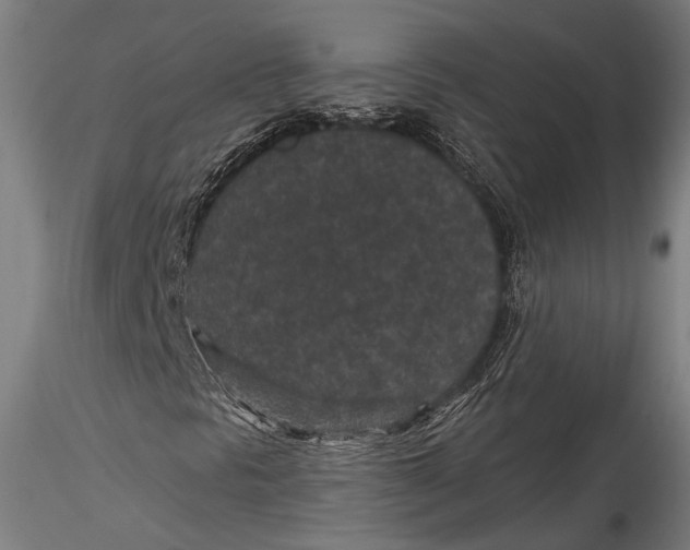 X0000115531297200911271336