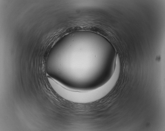 X0000115531298200911271336