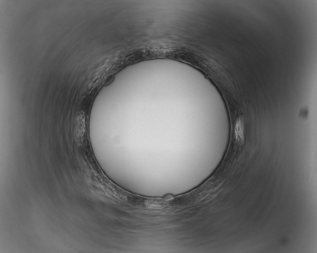 X0000115531299200911271336