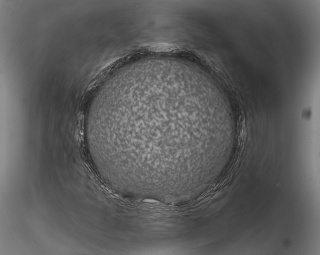 X0000115531301200911271336