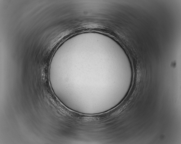 X0000115531305200911271336