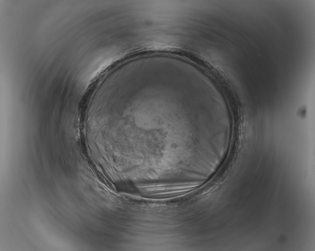 X0000115531306200911271336