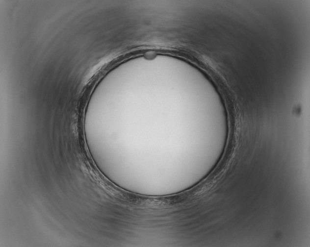 X0000115531307200911271336