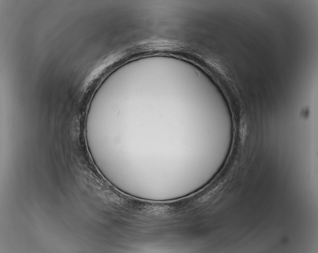 X0000115531309200911271336