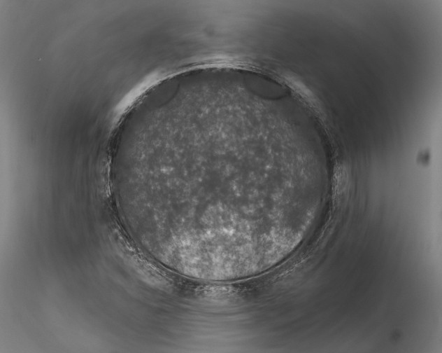 X0000115531310200911271336