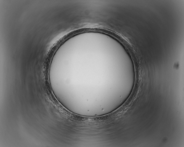 X0000115531311200911271336