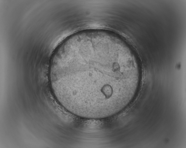 X0000115531314200911271336