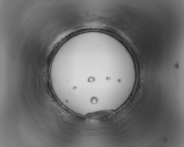 X0000115531315200911271336