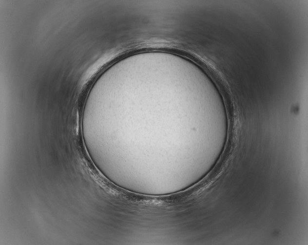 X0000115531317200911271336