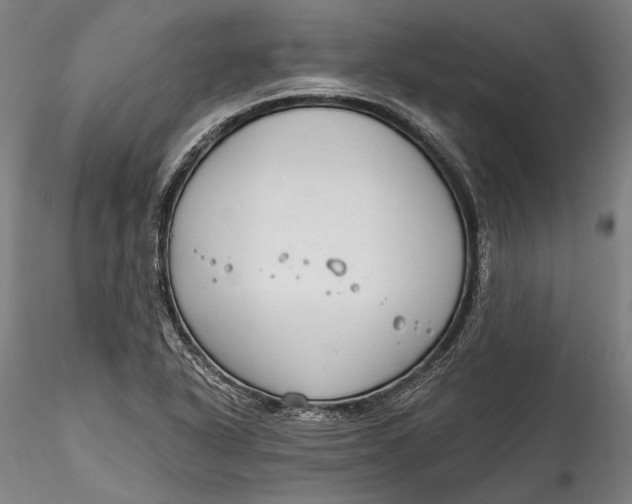 X0000115531318200911271337